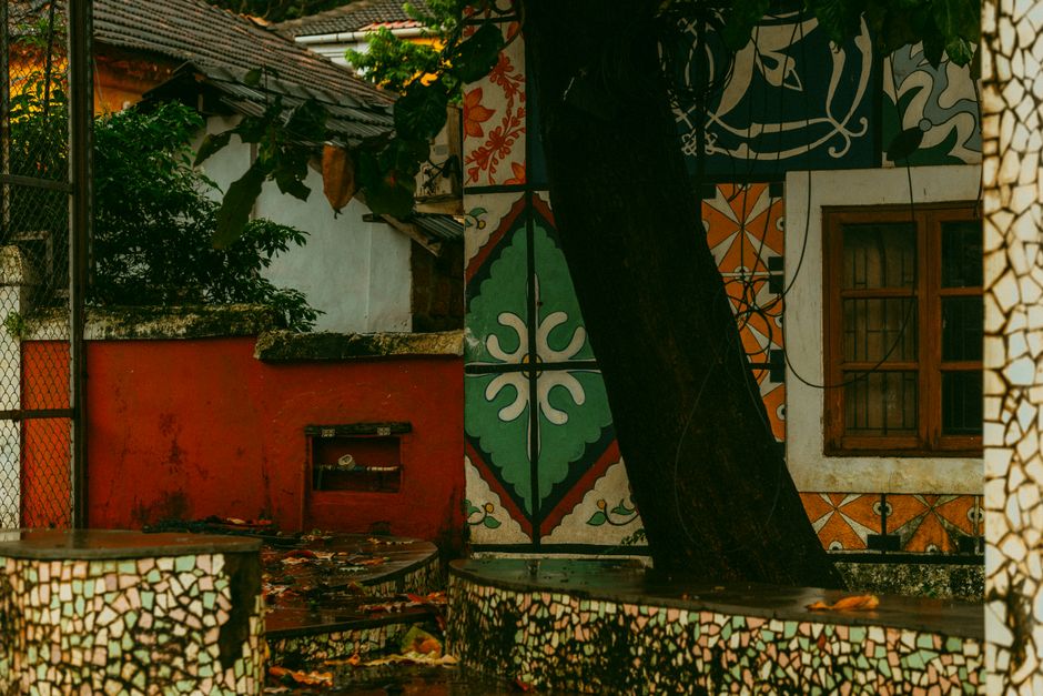 Vibrant mosaic patterns on an urban wall with colorful artwork and a tree in the foreground.